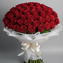 Букет 101 Красная роза Блэк Мэджик #REPLACE_PRED# Чкалово
