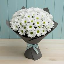 Букет цветов из:  Хризантемы #REPLACE_PRED# Чкалово