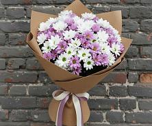 Букет цветов из:  Хризантемы #REPLACE_PRED# Чкалово