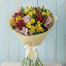 Букет цветов из:  Альстромерии #REPLACE_PRED# Чкалово