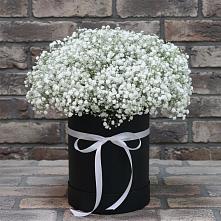 Цветочная композиция из Гипсофила в шляпной коробке в Чкалово