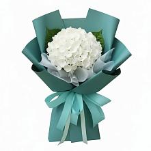 Букет цветов из:  Гортензия в Чкалово